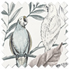 Iquitos, Dove Grey - Roman Blind